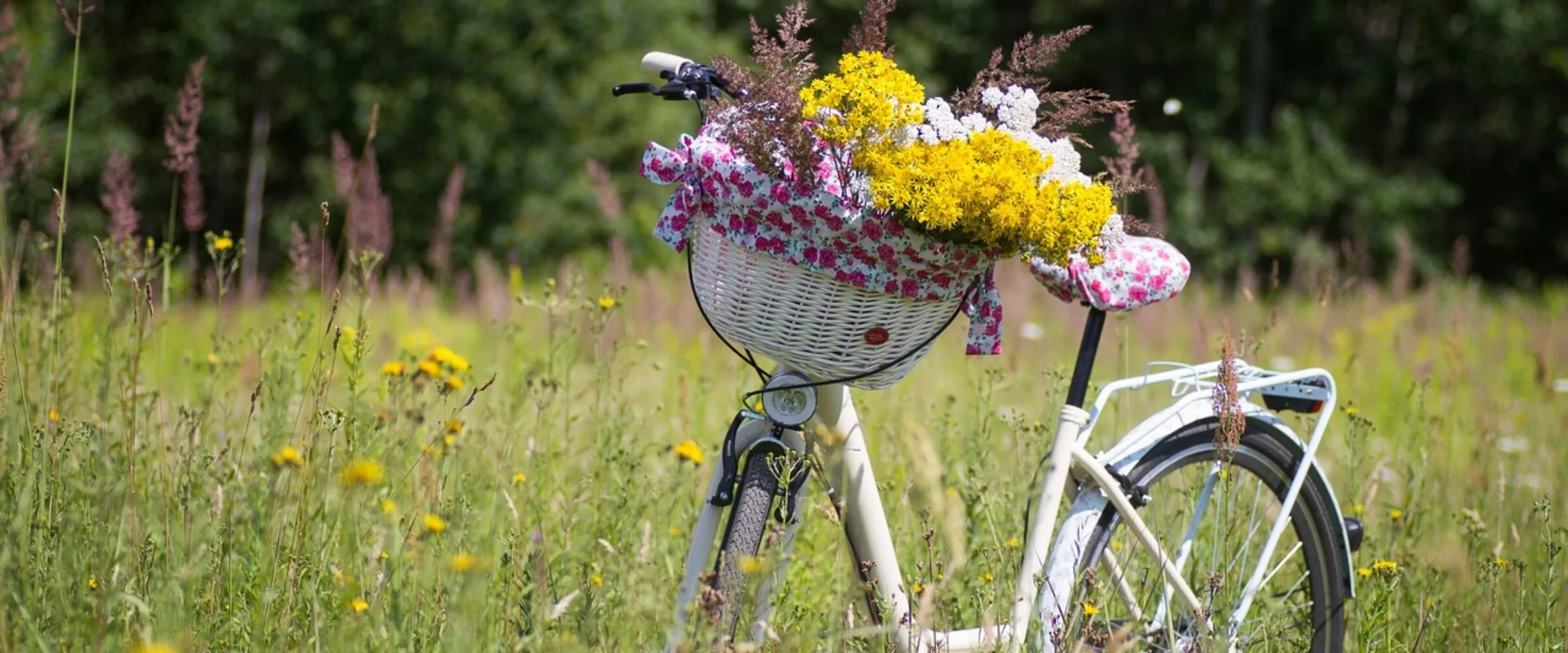 Radfahren Urlaub Twente